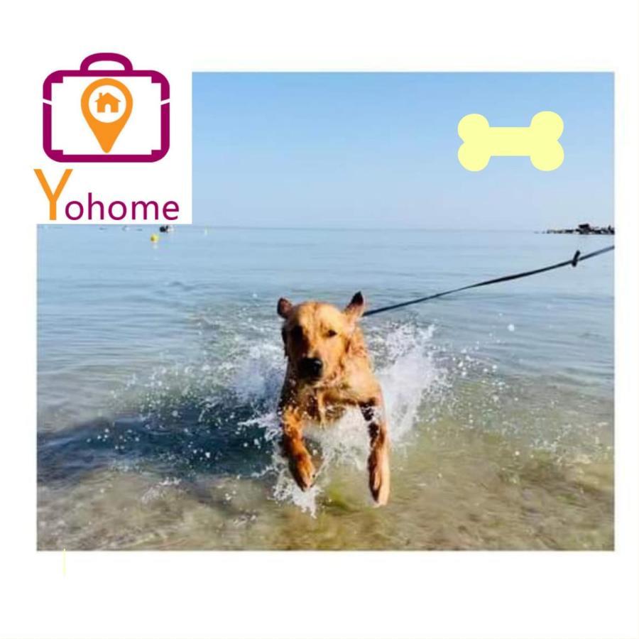 Zara D'Amare A Pesaro 10 Metri Dalla Spiaggia By Yohome Luaran gambar